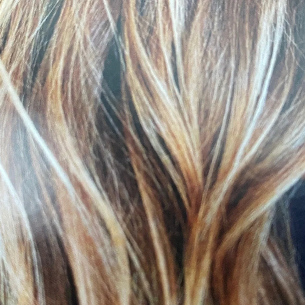New KRISTIN ESS HAIR Signature Hair Gloss Winter Wheat